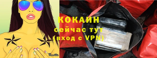 прущие грибы Богородск