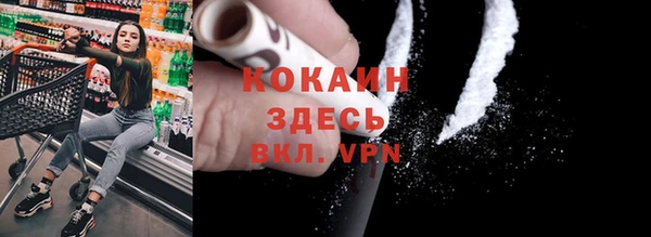 прущие грибы Богородск