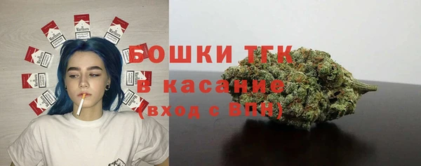 прущие грибы Богородск
