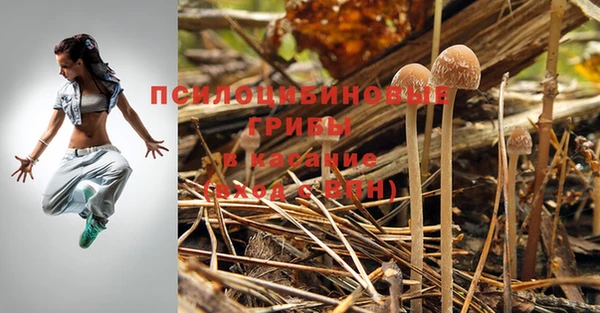 стаф Сафоново