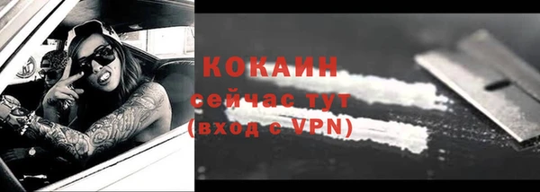 прущие грибы Богородск