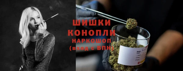 прущие грибы Богородск