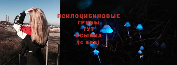 кокаин колумбия Богданович