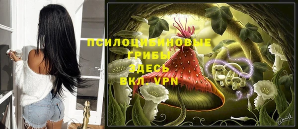 каннабис Богородицк
