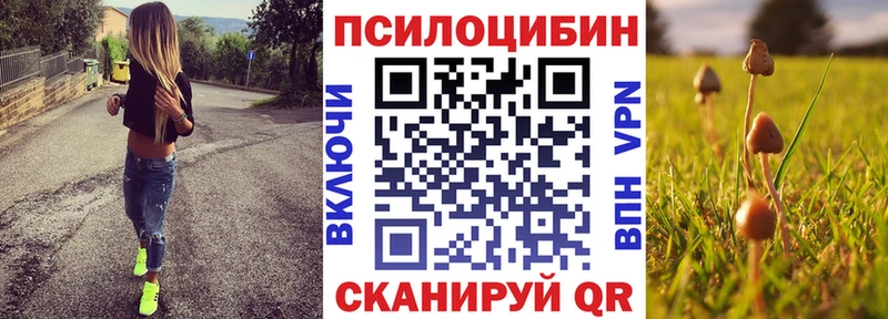 Псилоцибиновые грибы Magic Shrooms  Духовщина 